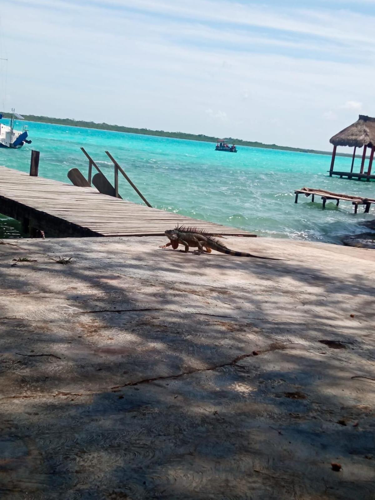 Casa Piedra De Agua Bacalar